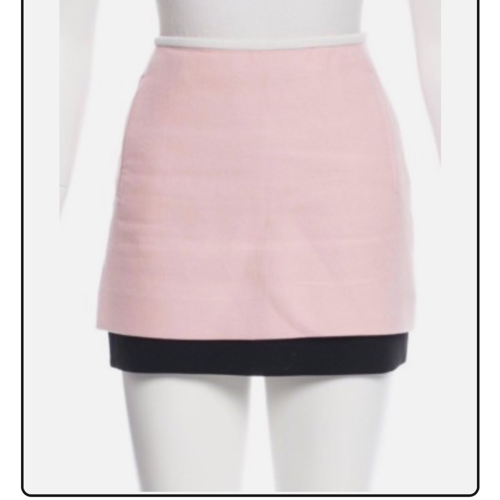 Chic Pink and Black Mini Skirt